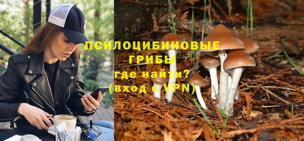дмт Мегион