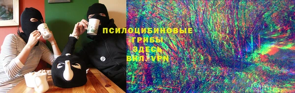 амф Медногорск