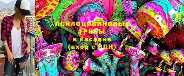 дмт Мегион