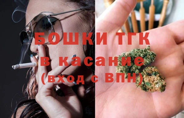 амф Медногорск