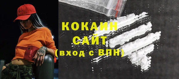 дмт Мегион